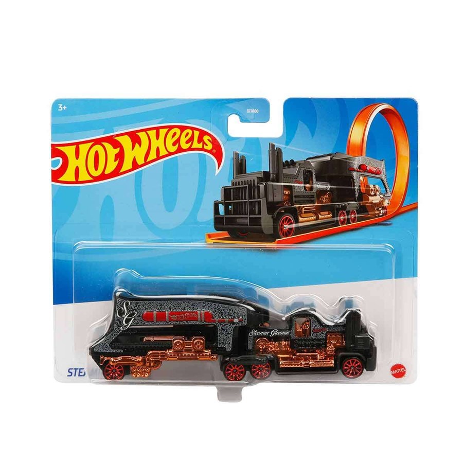 Hot Wheels Kamyonlar 