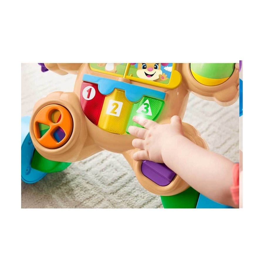 Fisher Price Eğitici Köpekçik Yürüteç 