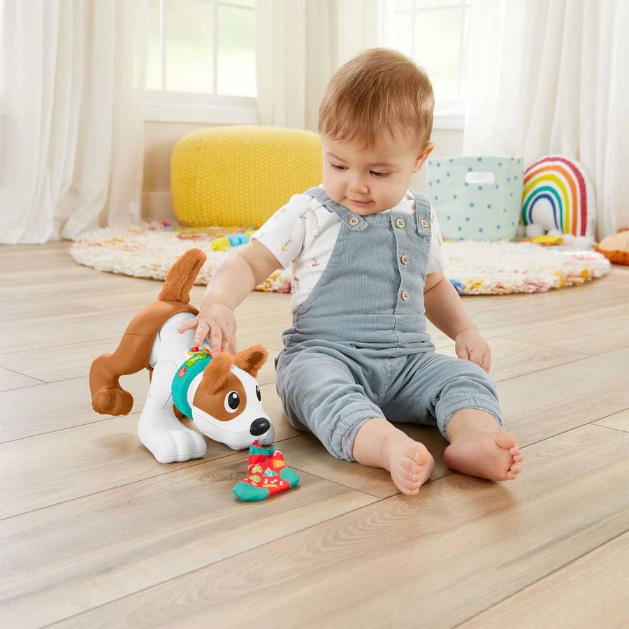 Fisher-Price Emeklemeyi ve Saymayı Öğreten Köpekçi 