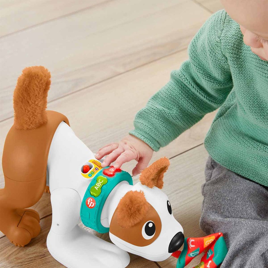 Fisher-Price Emeklemeyi ve Saymayı Öğreten Köpekçi 