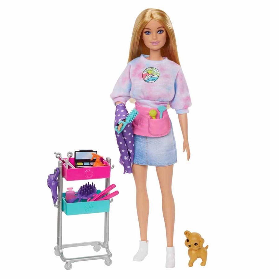 Barbie Stilist Bebekler Oyun Setleri 