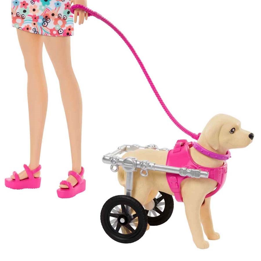 Barbie ve Engelli Köpeği Oyun Seti 