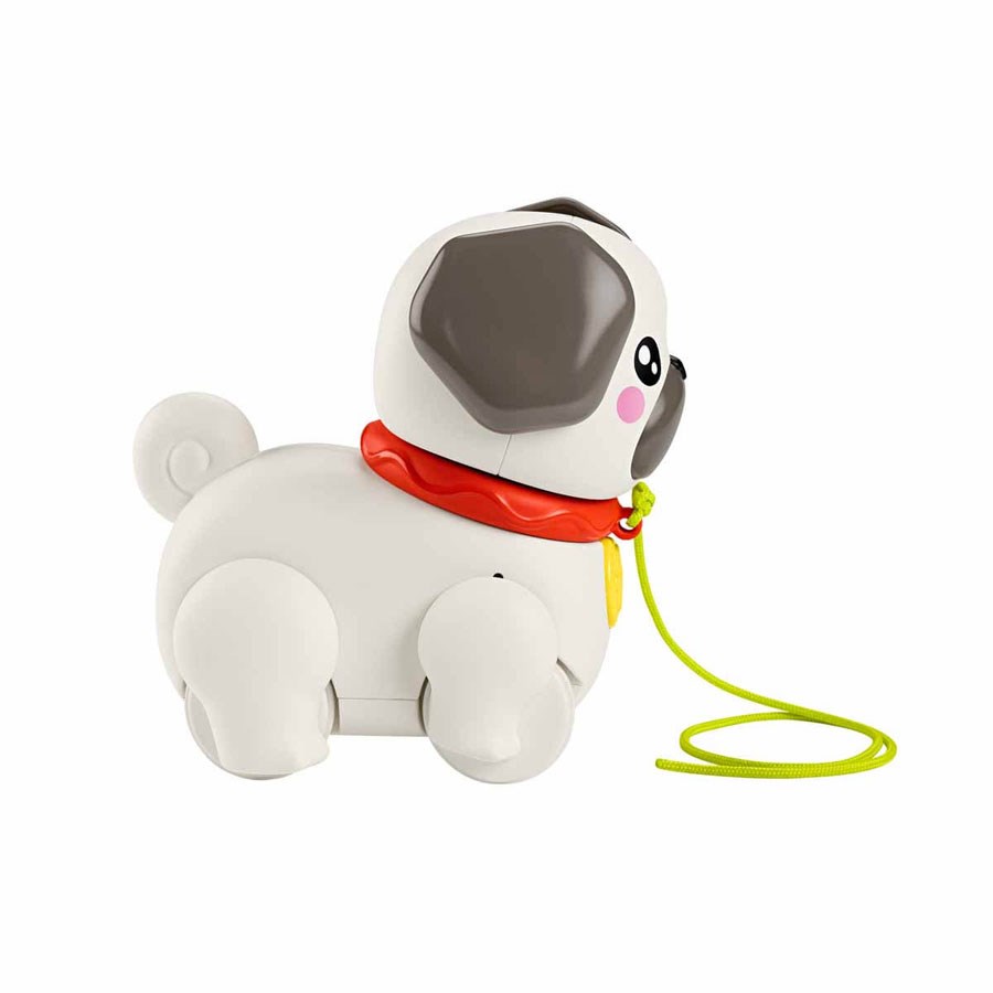 Fisher Price Minik Dostumla Yürüyüş 