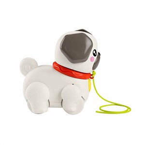 Fisher Price Minik Dostumla Yürüyüş