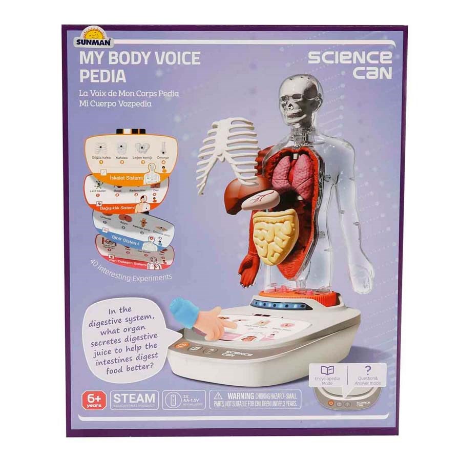 Sesli İnsan Vücudu Modeli Bilim Seti 