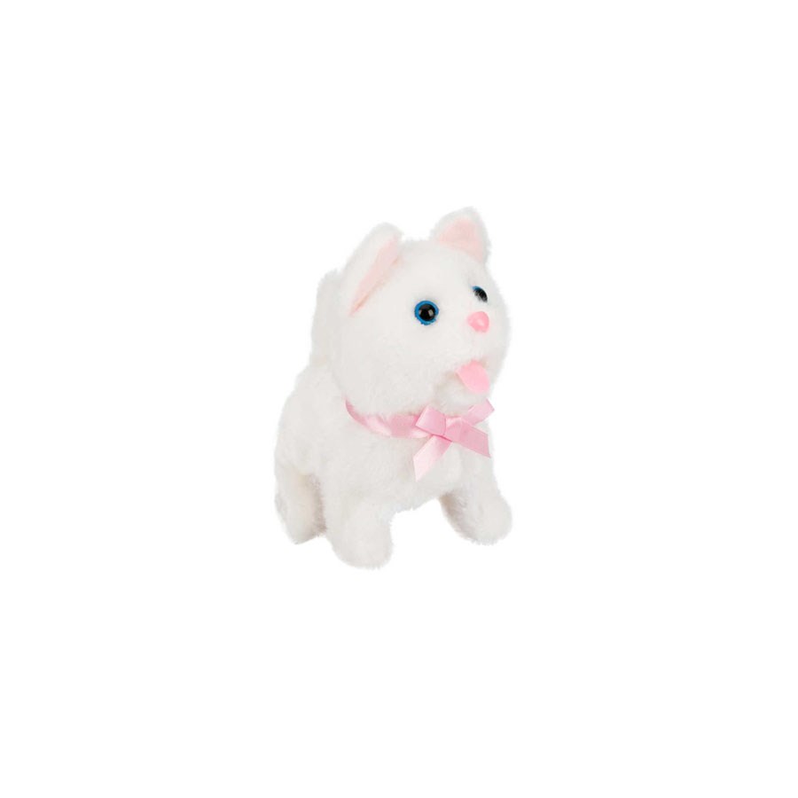 Sevimli Kedi Lottie 
