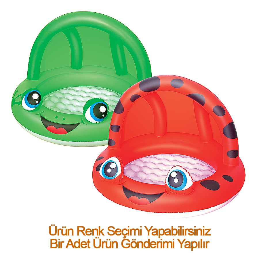 Havuz Golgelıklı Kurbagalı 