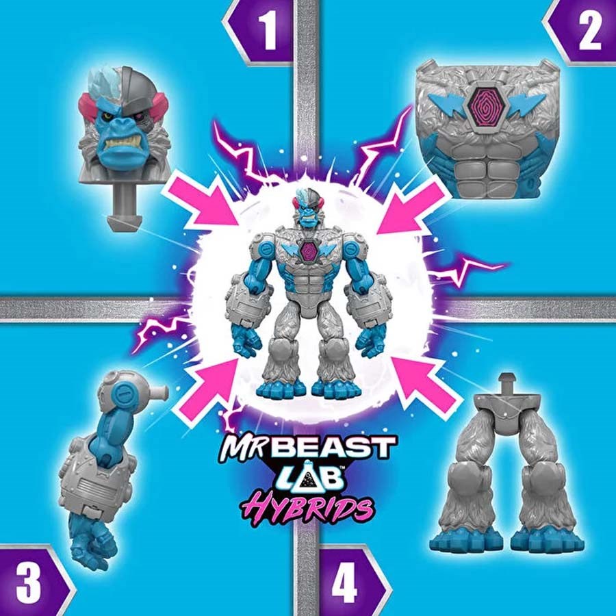 MR. Beast Hybrids Tekli Paket 