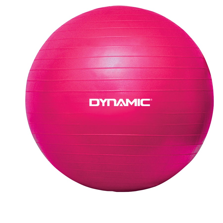 DYNAMIC GYMBALL - 65cm 