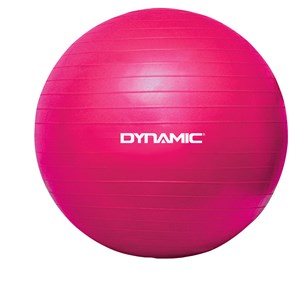 DYNAMIC GYMBALL - 65cm