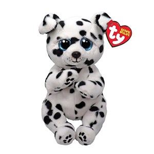 Rowdy - Dalmaçyalı 20 Cm.