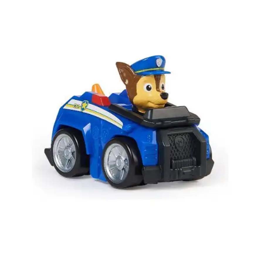 Paw Patrol Yavru Takımı 
