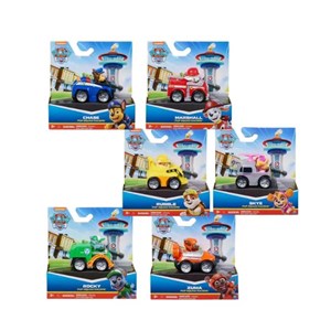 Paw Patrol Yavru Takımı