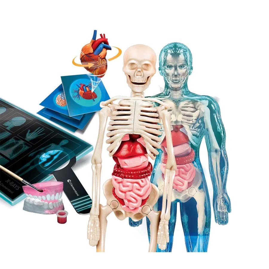 Bilim ve Oyun: Süper Anatomi 