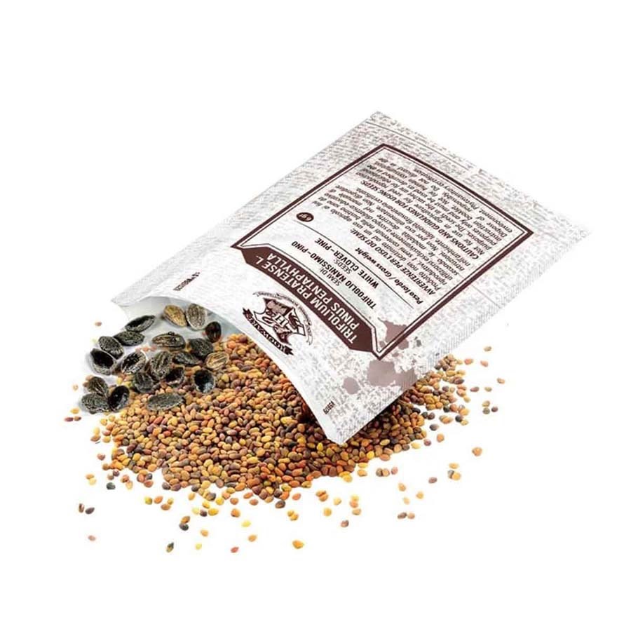 Harry Potter Hagrid’in Kulübesi Teraryum Seti 