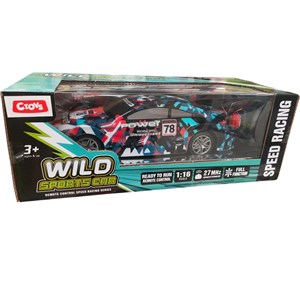Uzaktan Kumandalı Araba RC 1:16