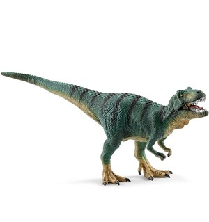 Schleich T Rex