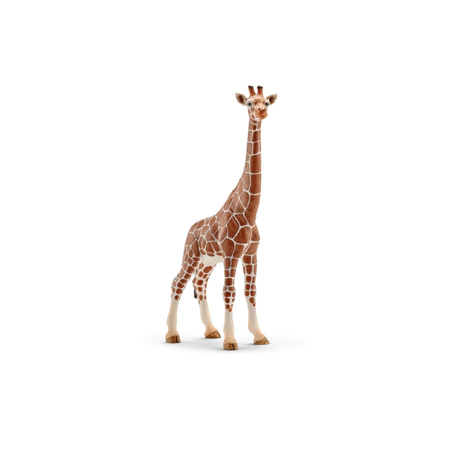 Schleich Dişi Zürafa 