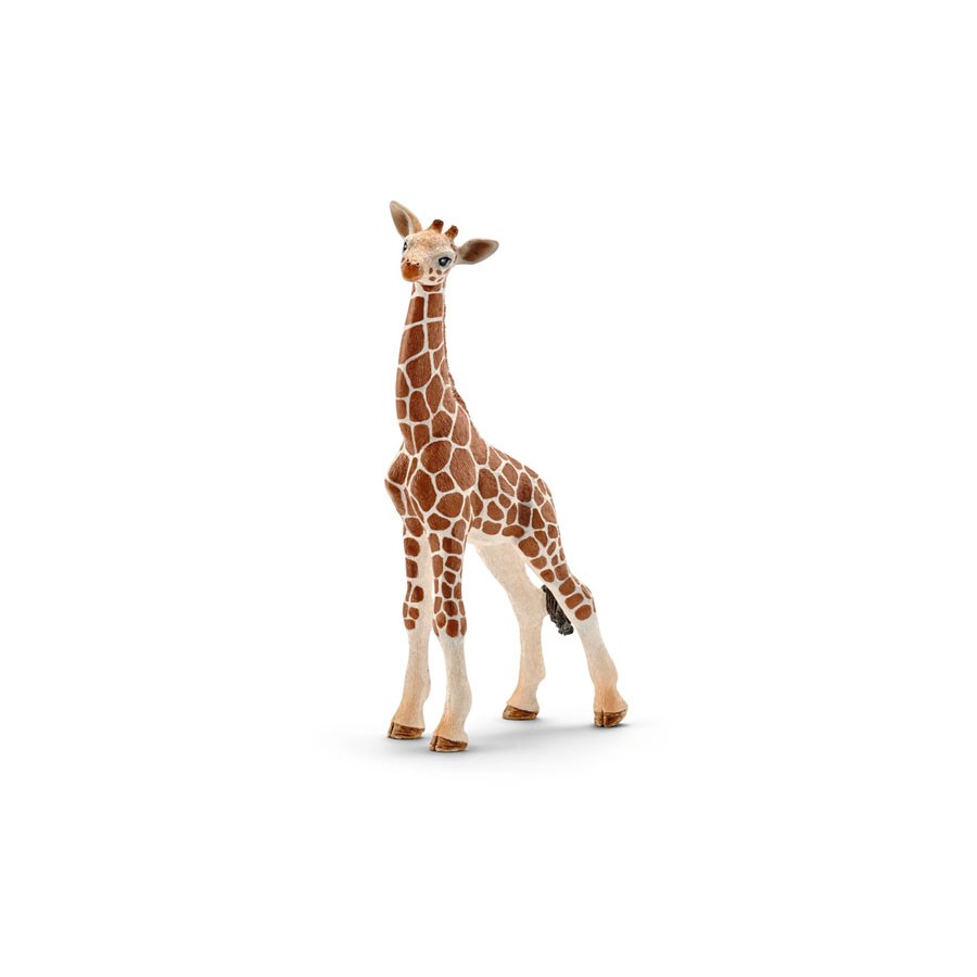 Schleich Yavru Zürafa 