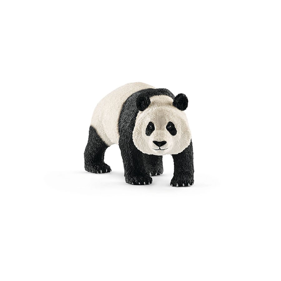 Schleich Erkek Panda 