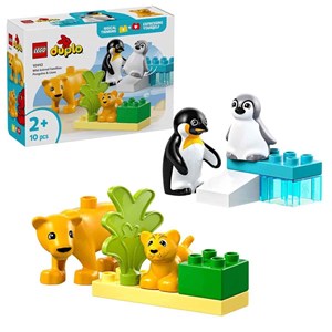 Lego Duplo Penguenler ve Aslanlar