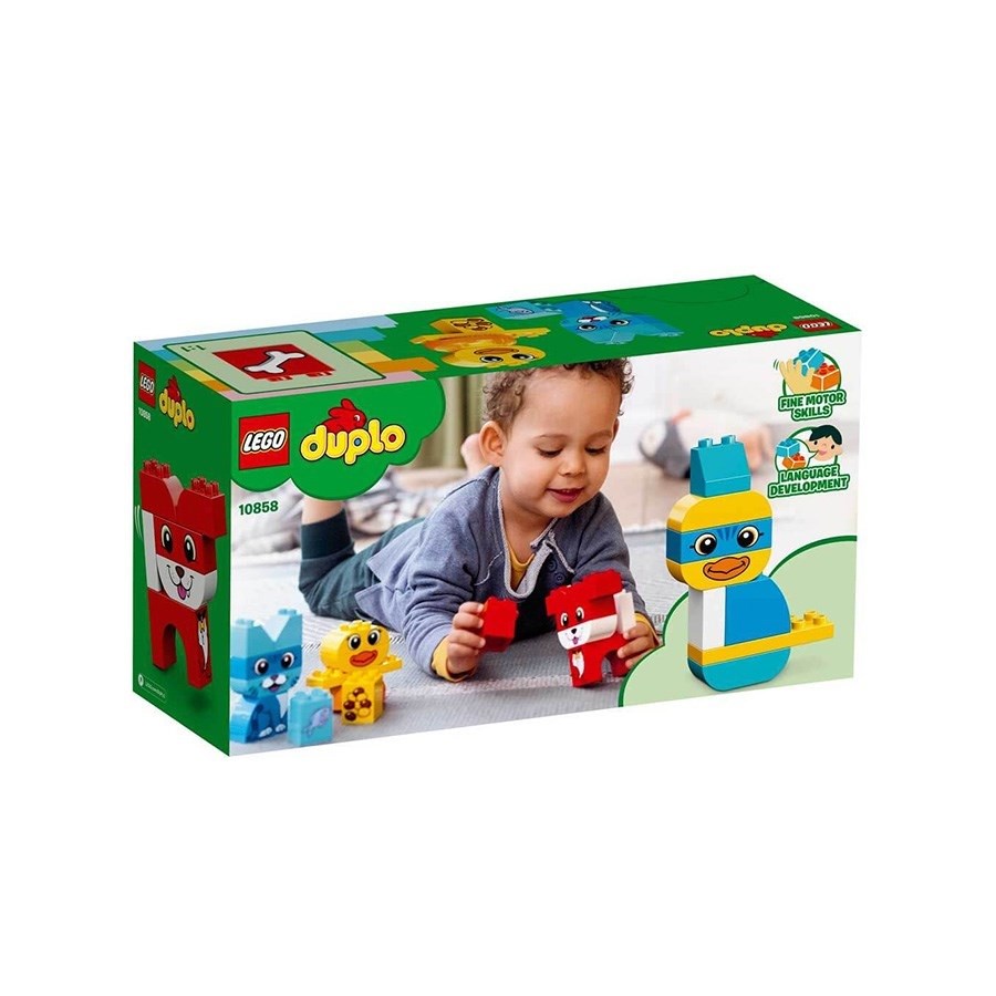 Lego Duplo İlk Evcil Hayvanlarım 10858 