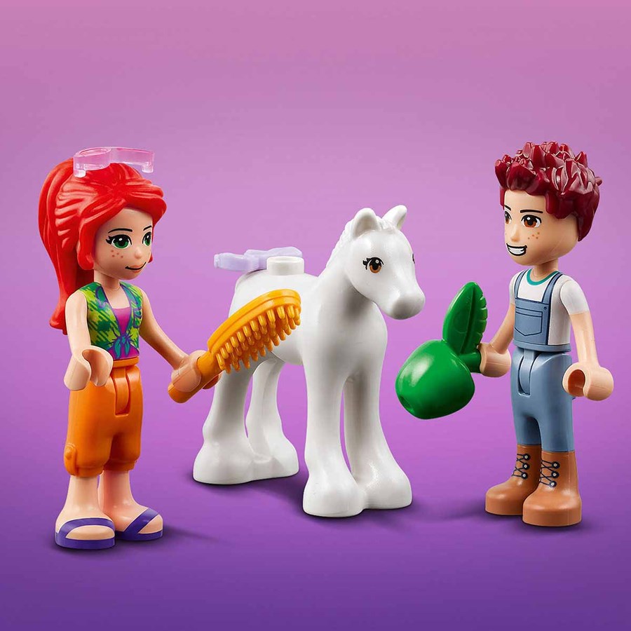 Lego Friends Midilli Yıkama Ahırı 41696 