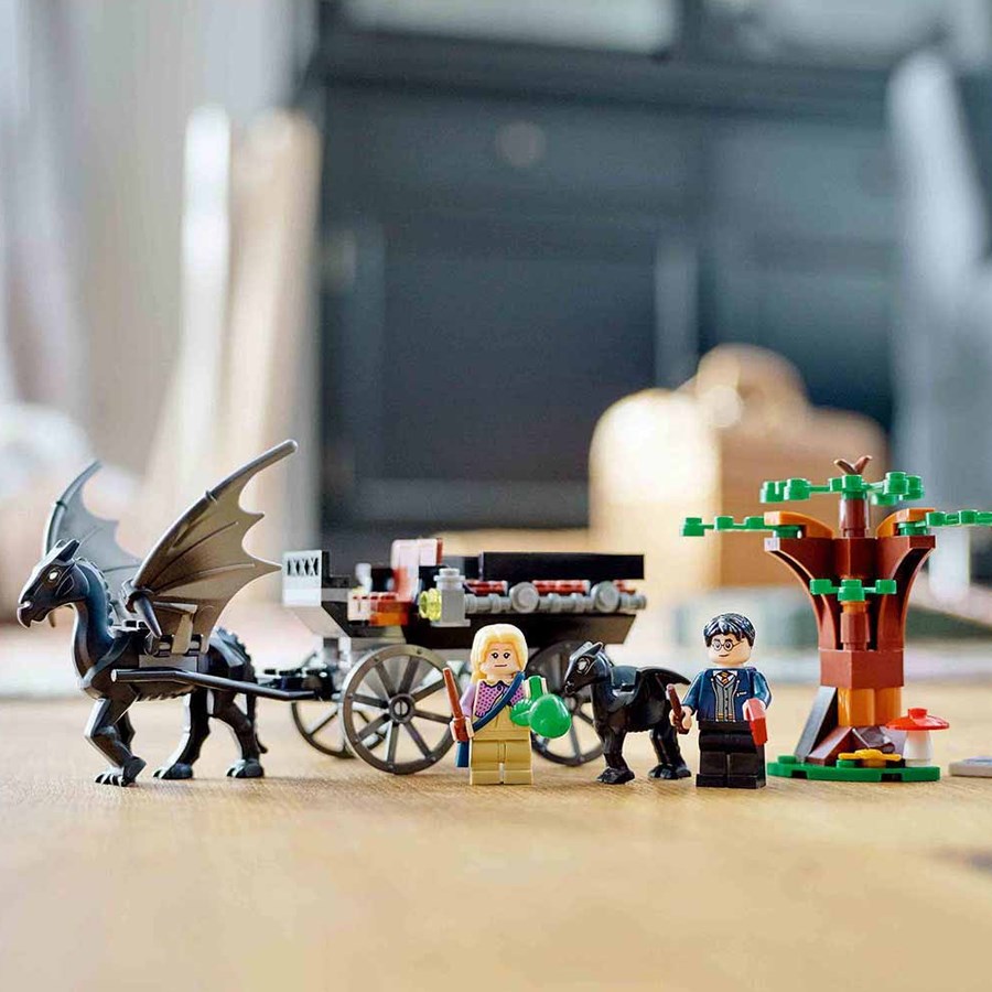 Lego Harry Potter Hogwarts Araba ve Testraller 