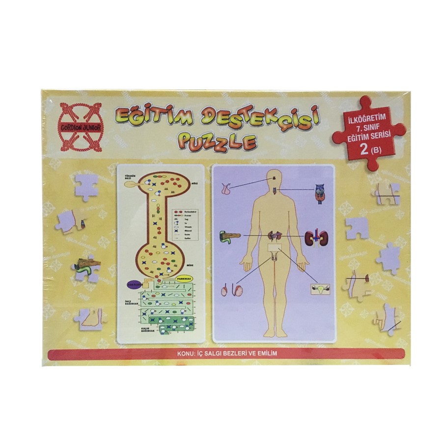 İç Salgı Bezleri Ve Emilim 140 126 Puzzle 