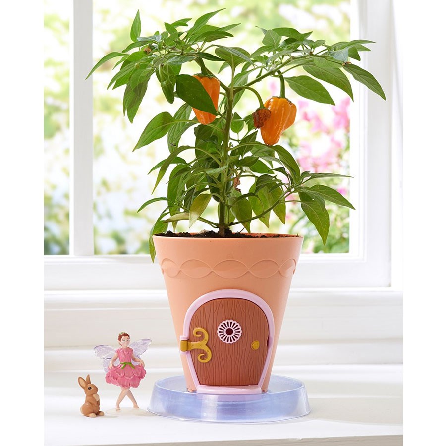 My Fairy Garden Peri Çiçek Saksısı 